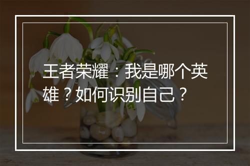 王者荣耀：我是哪个英雄？如何识别自己？