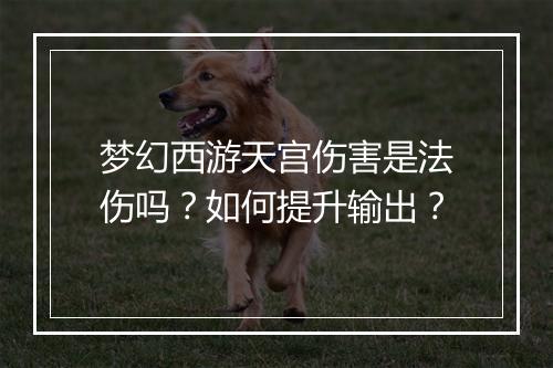 梦幻西游天宫伤害是法伤吗?如何提升输出?
