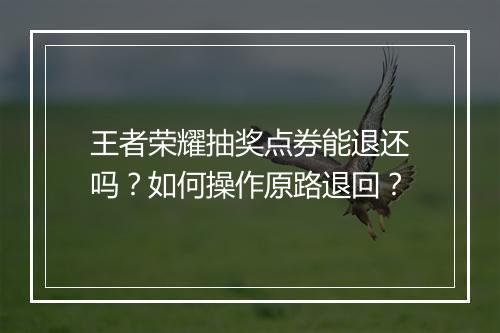 王者荣耀抽奖点券能退还吗？如何操作原路退回？