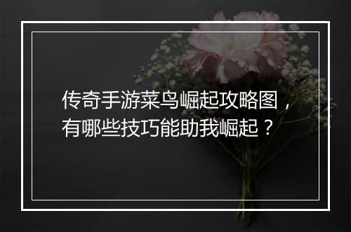 传奇手游菜鸟崛起攻略图，有哪些技巧能助我崛起？