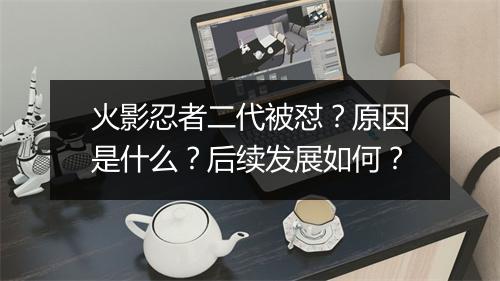 火影忍者二代被怼?原因是什么?后续发展如何?