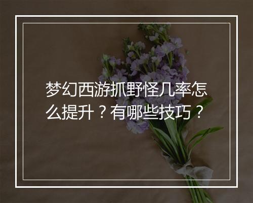 梦幻西游抓野怪几率怎么提升？有哪些技巧？