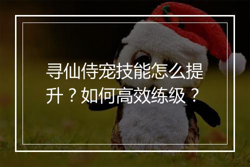 寻仙侍宠技能怎么提升？如何高效练级？