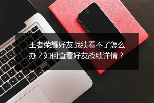 王者荣耀好友战绩看不了怎么办?如何查看好友战绩详情?