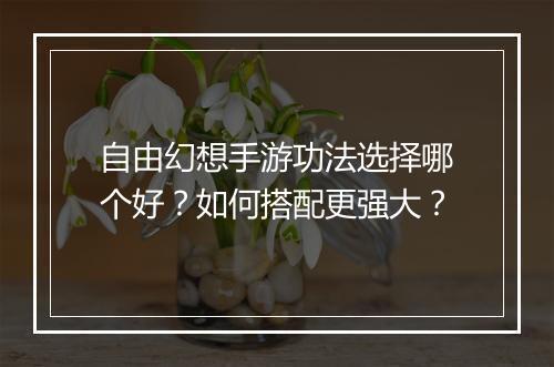 自由幻想手游功法选择哪个好？如何搭配更强大？