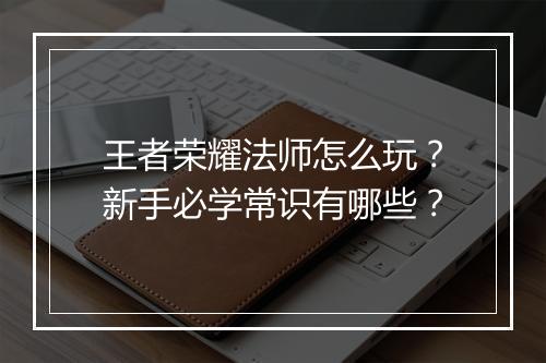 王者荣耀法师怎么玩？新手必学常识有哪些？