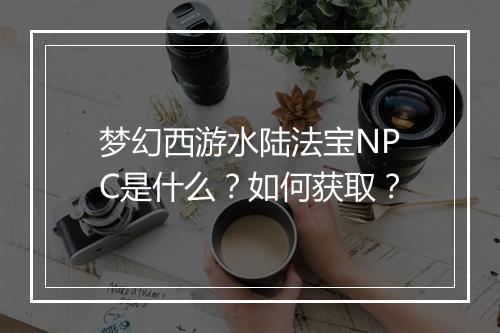 梦幻西游水陆法宝NPC是什么?如何获取?