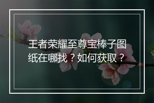王者荣耀至尊宝棒子图纸在哪找？如何获取？