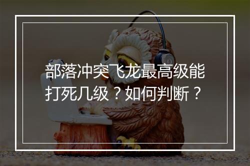 部落冲突飞龙最高级能打死几级？如何判断？