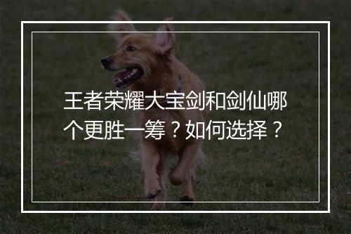 王者荣耀大宝剑和剑仙哪个更胜一筹？如何选择？