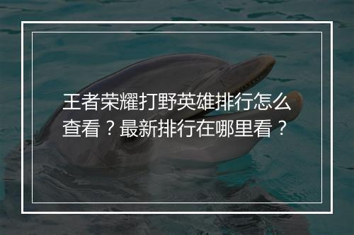 王者荣耀打野英雄排行怎么查看？最新排行在哪里看？