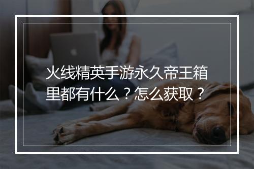火线精英手游永久帝王箱里都有什么？怎么获取？