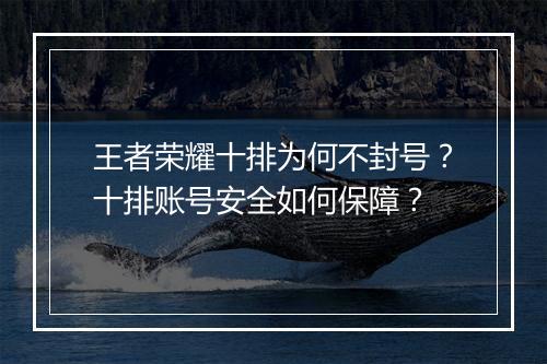 王者荣耀十排为何不封号?十排账号安全如何保障?