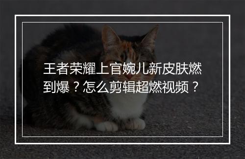 王者荣耀上官婉儿新皮肤燃到爆？怎么剪辑超燃视频？