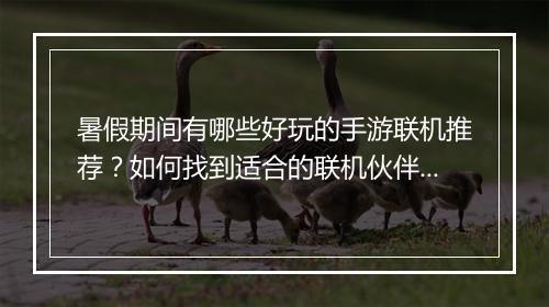暑假期间有哪些好玩的手游联机推荐？如何找到适合的联机伙伴？