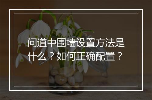 问道中围墙设置方法是什么？如何正确配置？