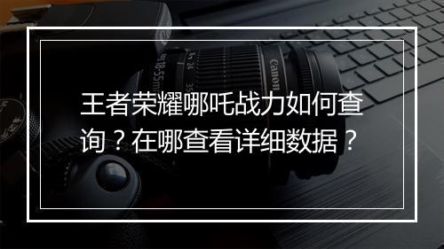 王者荣耀哪吒战力如何查询？在哪查看详细数据？