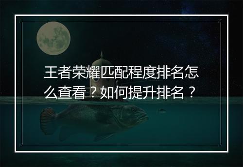 王者荣耀匹配程度排名怎么查看？如何提升排名？