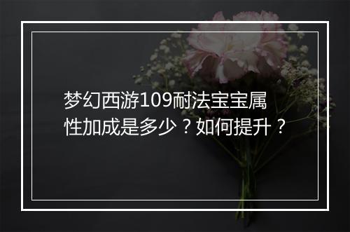 梦幻西游109耐法宝宝属性加成是多少？如何提升？