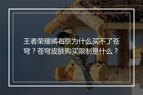 王者荣耀橘右京为什么买不了苍穹？苍穹皮肤购买限制是什么？