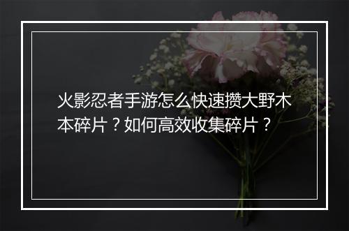 火影忍者手游怎么快速攒大野木本碎片?如何高效收集碎片?