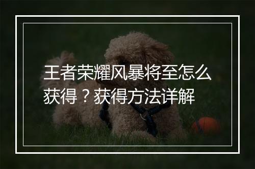 王者荣耀风暴将至怎么获得?获得方法详解