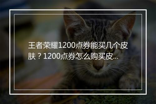 王者荣耀1200点券能买几个皮肤？1200点券怎么购买皮肤？