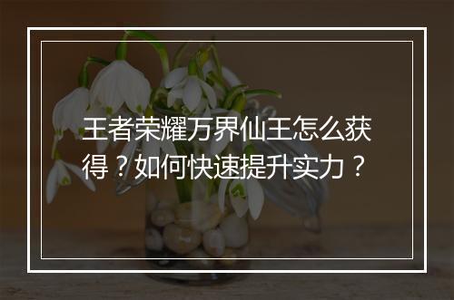 王者荣耀万界仙王怎么获得？如何快速提升实力？