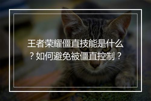 王者荣耀僵直技能是什么？如何避免被僵直控制？